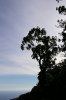2006_12_05_15_59_55.jpg