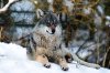 DSC_3763.jpg