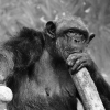Tierpark Hellabrunn - München