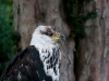 DSC_0757.jpg