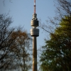 KW17 - Florian