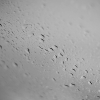 KW33 - Schon Herbst?