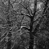 KW49 - Schneestrukturen