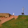 2009_05_01_15_21_41_123.jpg