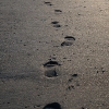 2009_05_01_19_29_29_175.jpg
