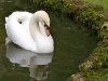 2006_12_07_14_59_06.jpg