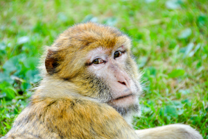 Naturzoo Rheine