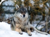 DSC_3763.jpg